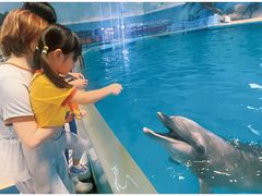 -泉城欧乐堡梦幻世界