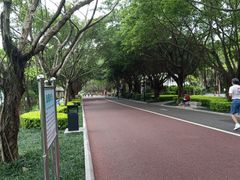 -南宁南湖公园