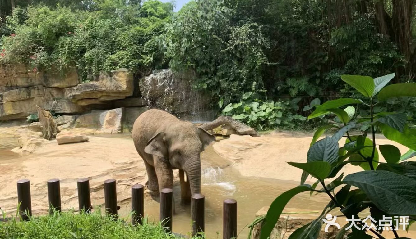 廣州長隆野生動物園