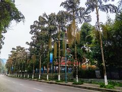 -重庆海昌加勒比海水世界