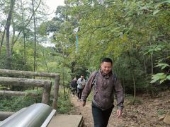 -宝界山林公园