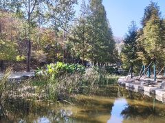 -白水寺森林公园