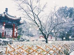 -香山公园