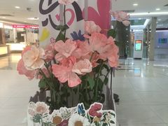 -凯德MALL(望京店)