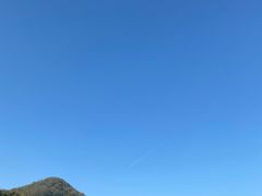 -八卦田遗址公园
