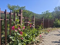 -潭柘厚院&山顶烤肉(潭柘寺店)