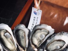 新西兰蓝珍珠生蚝-普朗姆生蚝吧(原建国路店)