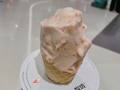 -野人牧坊Gelato(苏州中心店)
