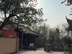 -天目湖山水园