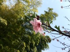 -苏州河梦清园环保主题公园