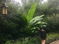 -天目湖涵田半山温泉