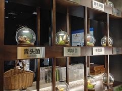 -芸山季·云南野生菌火锅(人民广场来福士店)