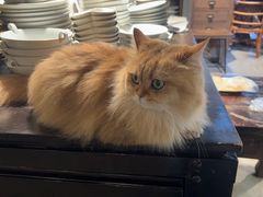 -自由生长植物工作室(深港花卉中心店)