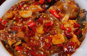 Iron-Head Softshell Turtle