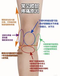 -U+YOGA优伽瑜伽·普拉提