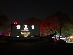-枫花园汽车电影院(朝阳公园店)