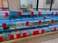 -洲晓鲜·舟山海鲜大排档(朱家尖风景区店)