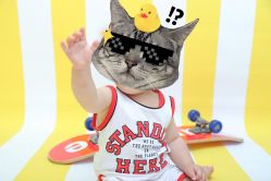 -宝贝日记专业儿童摄影(南坪店)