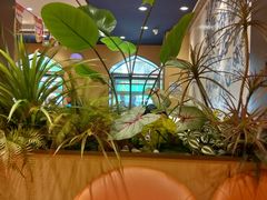 -西部马华清真兰州牛肉面·烧烤夜市(关东店)