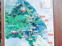-阳台山森林公园