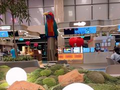 -海南宝(星耀樟宜店)