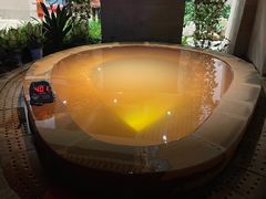 -齐河孔雀王温泉酒店·金孔雀自助百汇