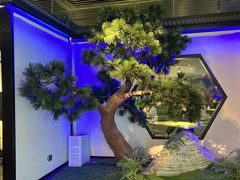 -绿茶餐厅(成都大悦城店)