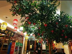 -农家小院(朱雀桥店)