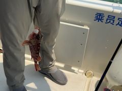 -鑫艋游艇海钓俱乐部