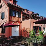 美食什么都有四季广场的花海是真的漂亮