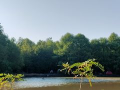 -上海海湾国家森林公园