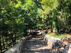 -阳台山自然风景区