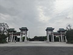 -王借岗森林公园