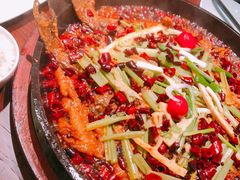 -老板恋上鱼(荣盛广场店)