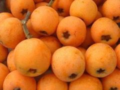 枇杷-广州富力君悦大酒店·凯菲厅