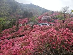 -木兰云雾山