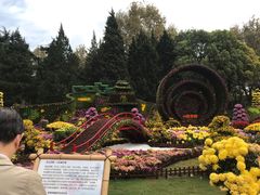 -共青国家森林公园-售票处