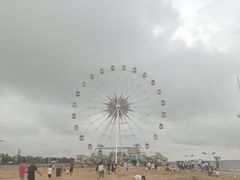 -奉贤海滩