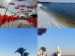 -武清南湖绿博园