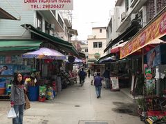 -南丫岛