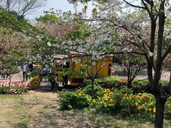 -南山植物园
