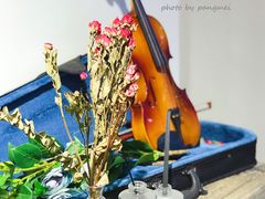 大堂-LRIS 乐瑞斯融合菜(天津之眼店)