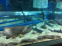 -福州罗源湾海洋世界旅游区