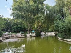 -莲花池公园
