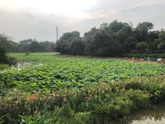 -雀儿山公园