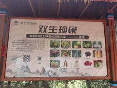 -墨江北回归线标志园