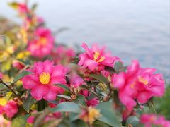 -石湖景区