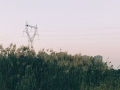 -皇粮浜公园