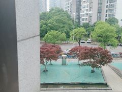 -大拙里·精致融合菜(沙湖桃源国际店)