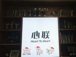 -心联形象设计·流星染